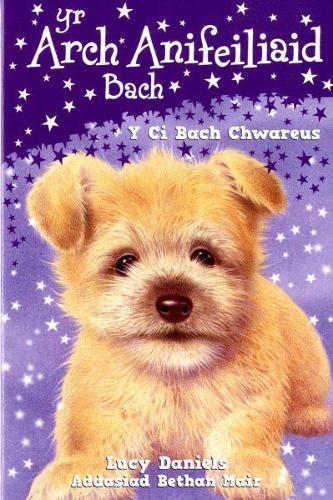 Cyfres yr Arch Anifeiliaid Bach: Y Ci Bach Chwareus