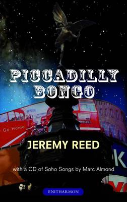 Piccadilly Bongo
