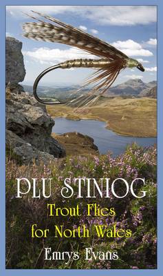 Plu Stiniog