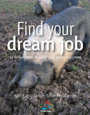 Find Your Dream Job