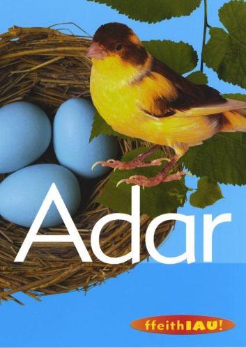 Cyfres Ffeithiau! Anifeiliaid: Adar