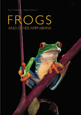 Frogs