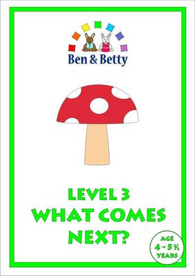 Level 3 What Comes Next?