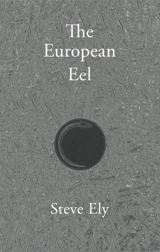 The European Eel