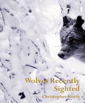 Wolves Recently Sighted