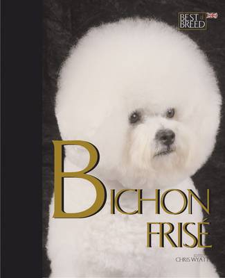 Bichon Frise