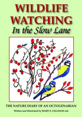 Wildlife Watching in the Slow Lane