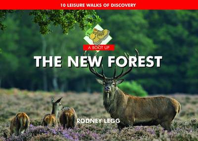 A Boot Up the New Forest