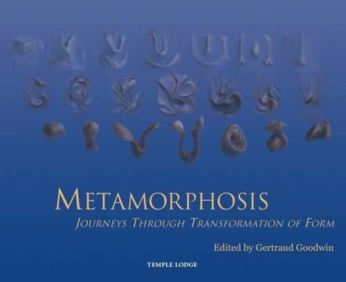Metamorphosis