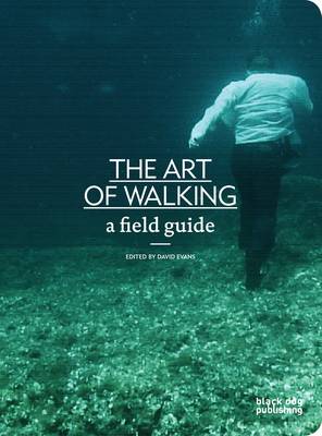 The Art of Walking