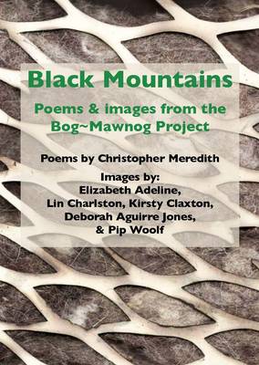 Black Mountains