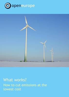 What Works?  How to Cut Emissions at the Lowest Cost
