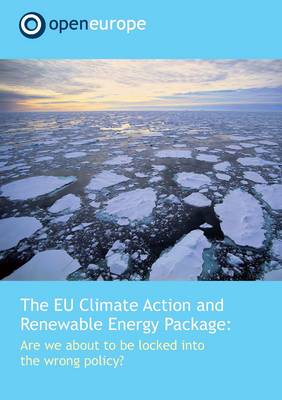 The EU Climate Action and Renewable Energy Package: are We About to be Locked into the Wrong Policy?