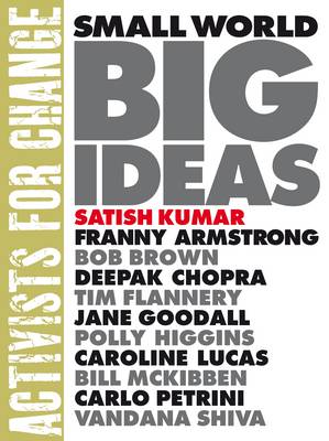Small World Big Ideas
