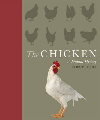 The Chicken