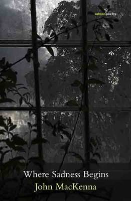 Where Sadness Begins