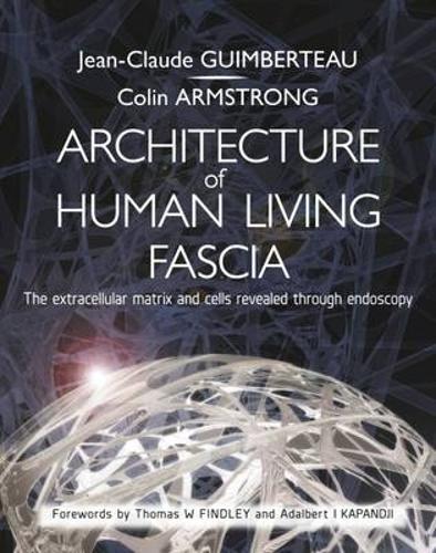 Architecture of Human Living Fascia