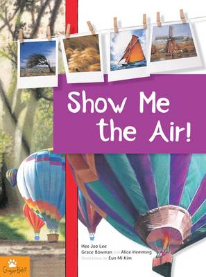 Show Me the Air