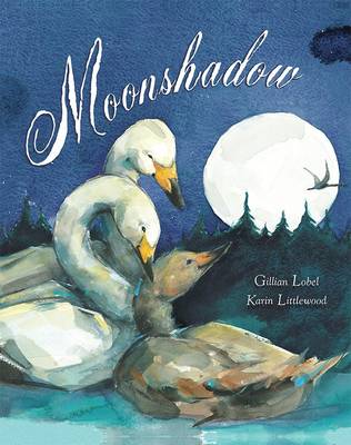 Moonshadow