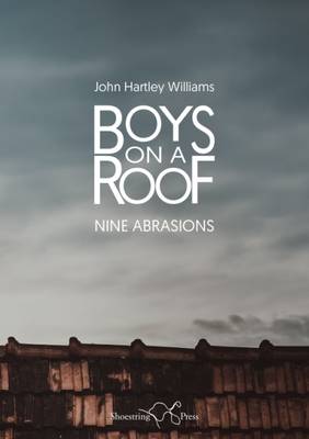 Boys on a Roof