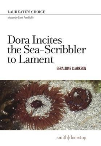 Dora Incites Sea-Scribbler Lament