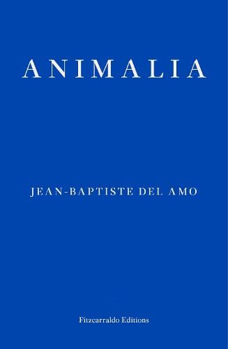 Animalia