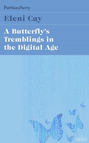 Butterfly's Tremblings in the Digital Age, A