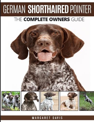 German Shorthaired Pointer