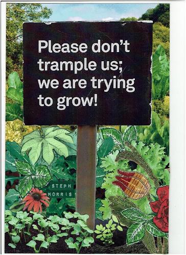 Please don’t trample us; we are trying to grow!