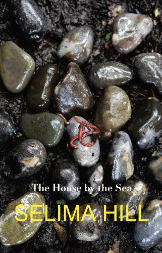 The House by the Sea