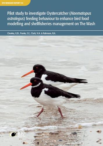 Pilot study to investigate Oystercatcher (Haematopus ostralegus) feeding behaviour to enhance bird food modelling and shellfisheries management on The Wash.