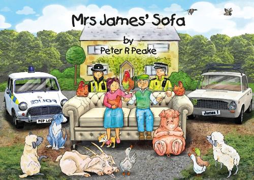 Mrs James' Sofa