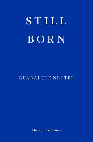 Still Born by Guadalupe Nettel