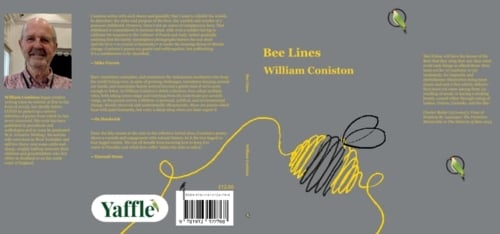 Bee Lines