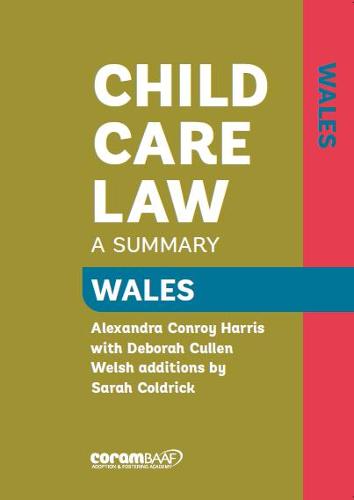 Child Care Law Wales