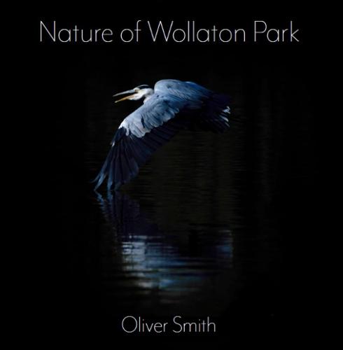 Nature of Wollaton Park