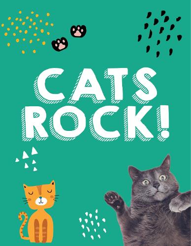 CATS ROCK!