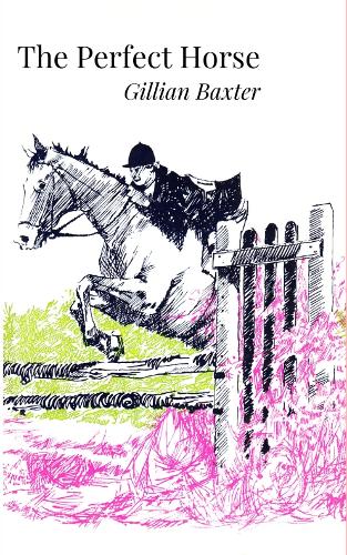 The Perfect Horse (Bracken Stables 3)