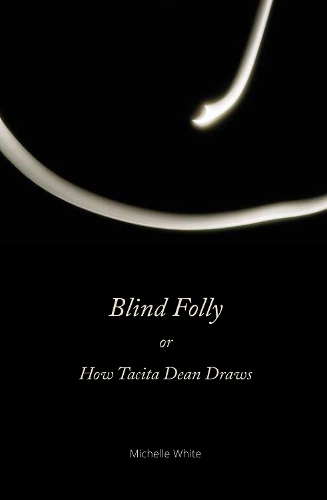 Blind Folly or How Tacita Dean Draws