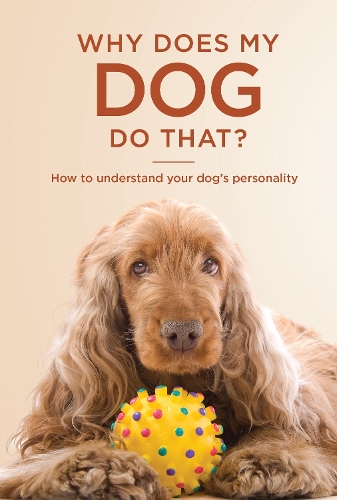 Why Does My Dog Do That?