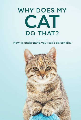 Why Does My Cat Do That?