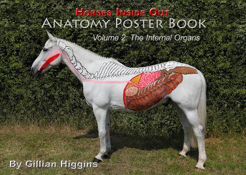 The Horses Inside Out Anatomy Poster Book