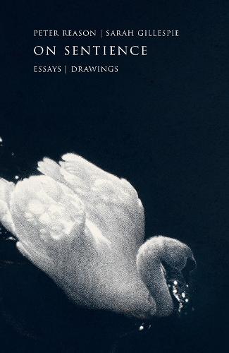 On Sentience