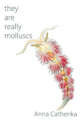 they are really molluscs