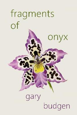 Fragments of Onyx