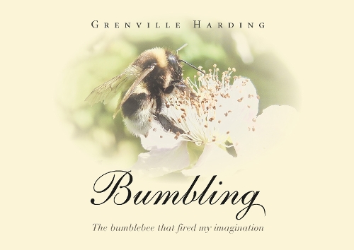 Bumbling