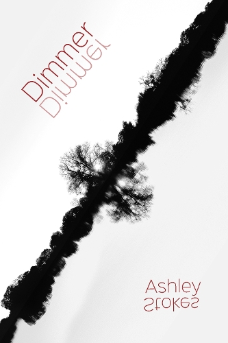 Dimmer