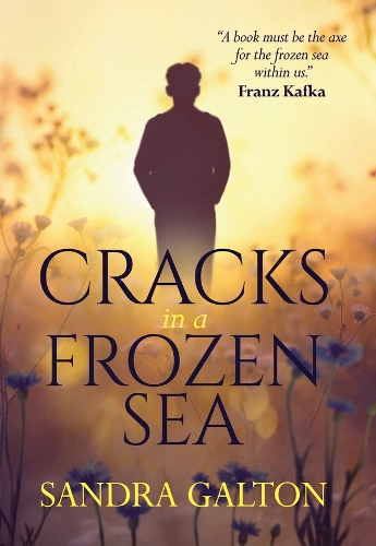 Cracks in a Frozen Sea