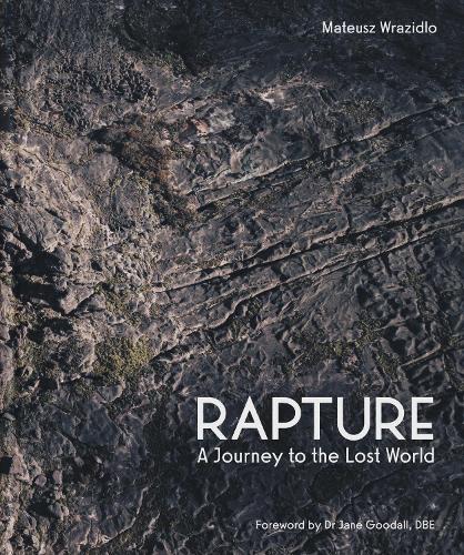 Rapture