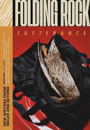 Folding Rock 005: Sustenance